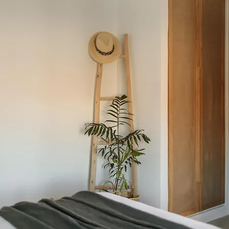 Anamnisis Vila Pláka